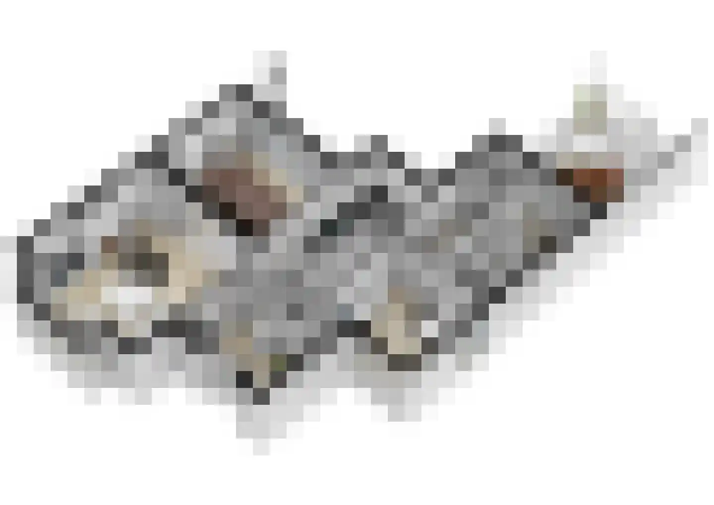 Vlammertsehof 46 Bergen L thumbnail 85