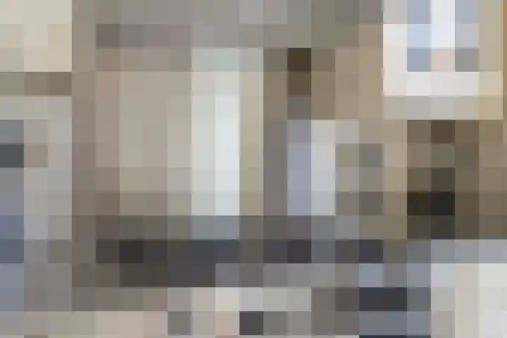 Vlamoven 19 Wijk bij Duurstede thumbnail 10