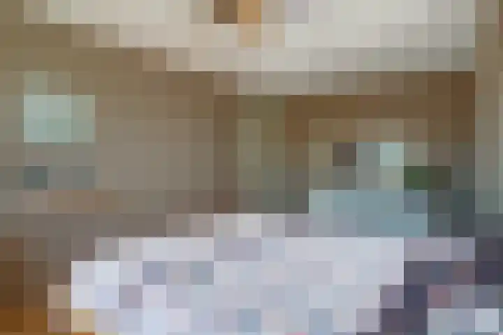 Vlamoven 19 Wijk bij Duurstede thumbnail 16