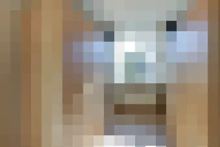 Vlamoven 19 Wijk bij Duurstede thumbnail 19