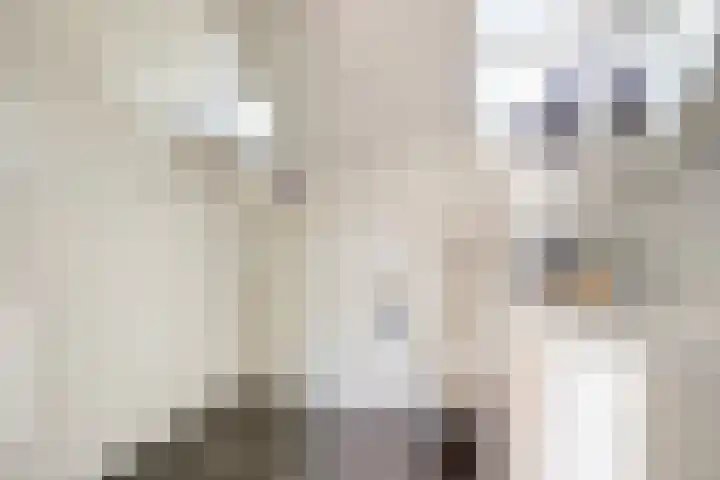 Vlamoven 19 Wijk bij Duurstede thumbnail 20