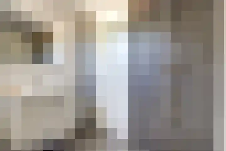 Vlamoven 19 Wijk bij Duurstede thumbnail 21
