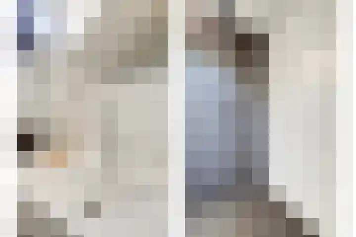 Vlamoven 19 Wijk bij Duurstede thumbnail 22