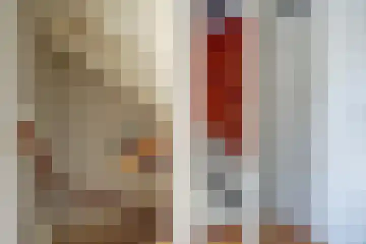 Vlamoven 19 Wijk bij Duurstede thumbnail 23