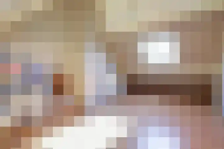 Vlamoven 19 Wijk bij Duurstede thumbnail 26