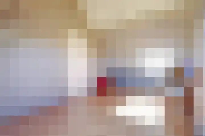 Vlamoven 19 Wijk bij Duurstede thumbnail 27
