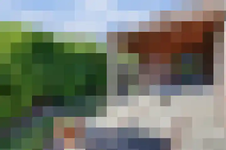 Vlamoven 19 Wijk bij Duurstede thumbnail 32