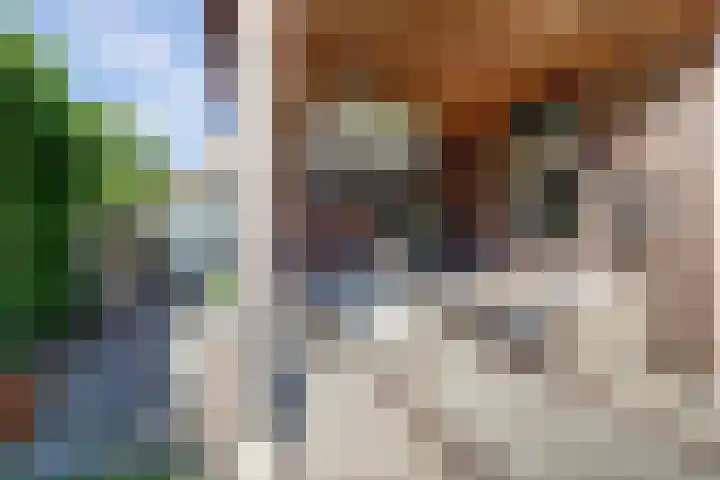Vlamoven 19 Wijk bij Duurstede thumbnail 33