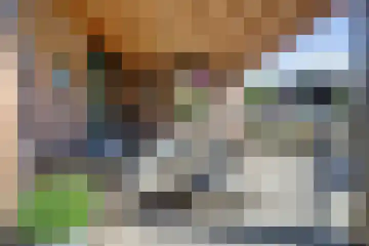 Vlamoven 19 Wijk bij Duurstede thumbnail 34