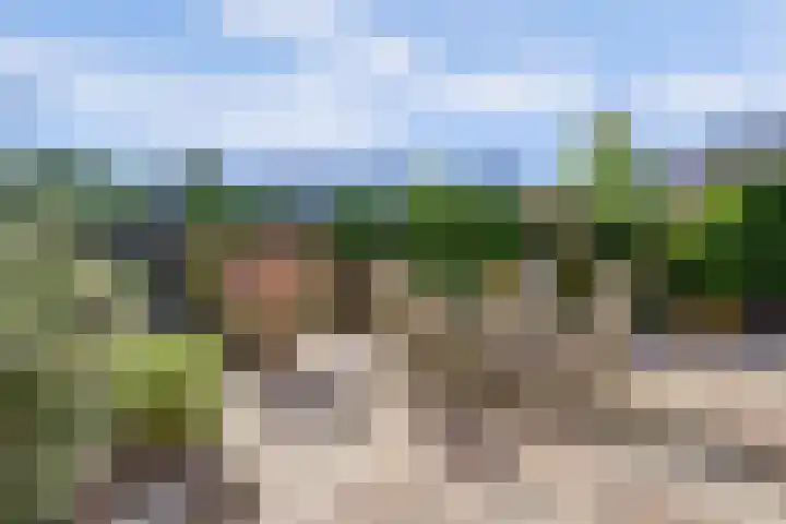 Vlamoven 19 Wijk bij Duurstede thumbnail 35