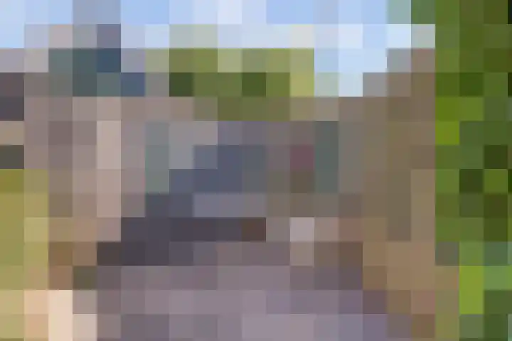 Vlamoven 19 Wijk bij Duurstede thumbnail 37