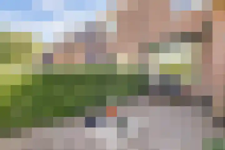 Vlamoven 19 Wijk bij Duurstede thumbnail 39