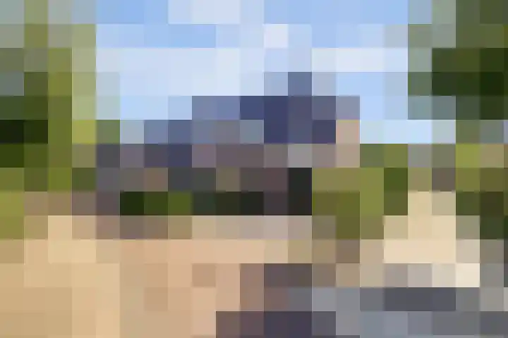 Vlamoven 19 Wijk bij Duurstede thumbnail 41