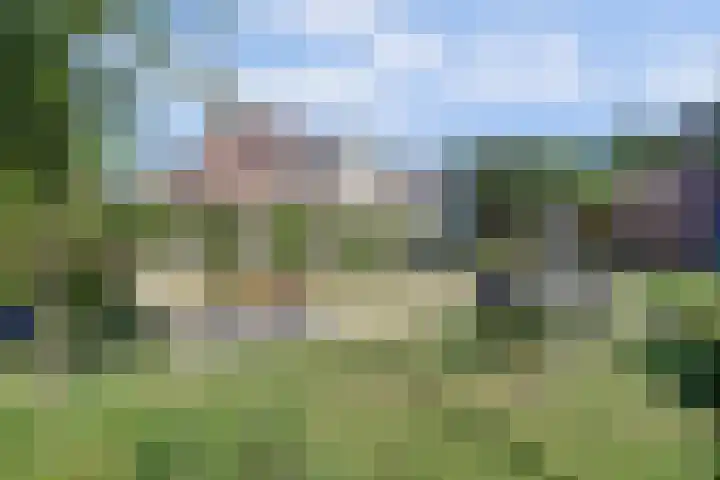 Vlamoven 19 Wijk bij Duurstede thumbnail 42