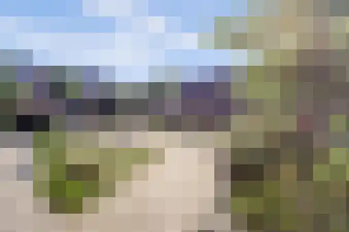 Vlamoven 19 Wijk bij Duurstede thumbnail 43