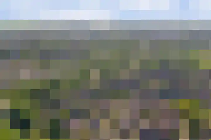 Vlamoven 19 Wijk bij Duurstede thumbnail 45