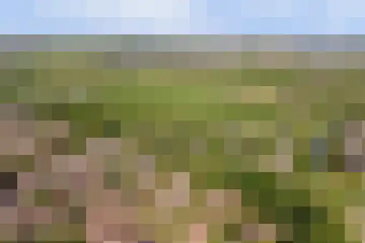 Vlamoven 19 Wijk bij Duurstede thumbnail 46