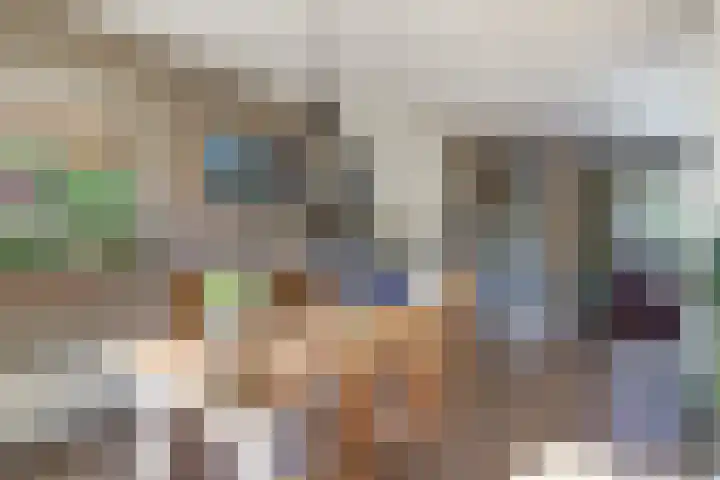Vlamoven 19 Wijk bij Duurstede thumbnail 5