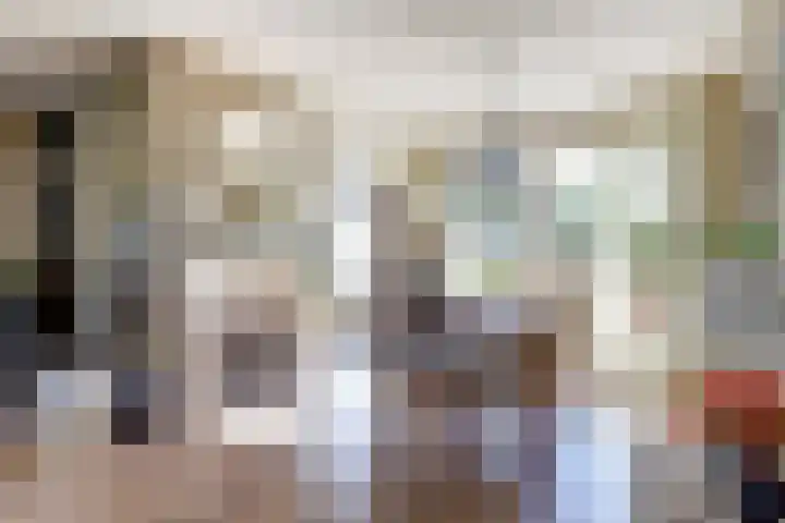 Vlamoven 19 Wijk bij Duurstede thumbnail 7
