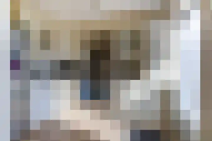 Vlamoven 19 Wijk bij Duurstede thumbnail 8