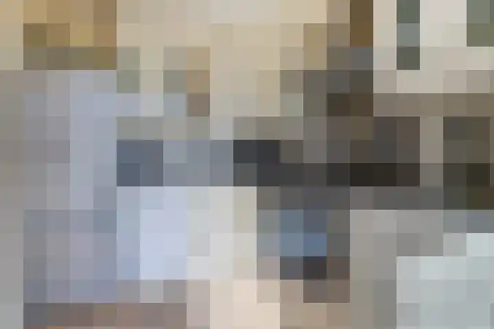 Vlamoven 19 Wijk bij Duurstede thumbnail 9