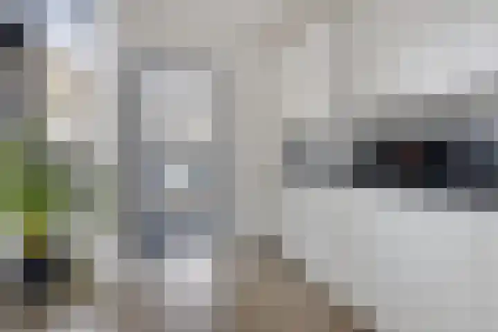 Vlamoven 48 Delfzijl thumbnail 32