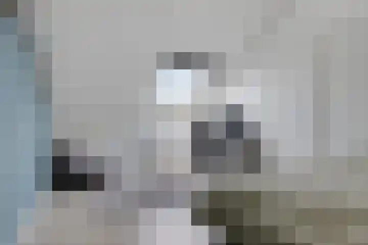 Vlamoven 48 Delfzijl thumbnail 47