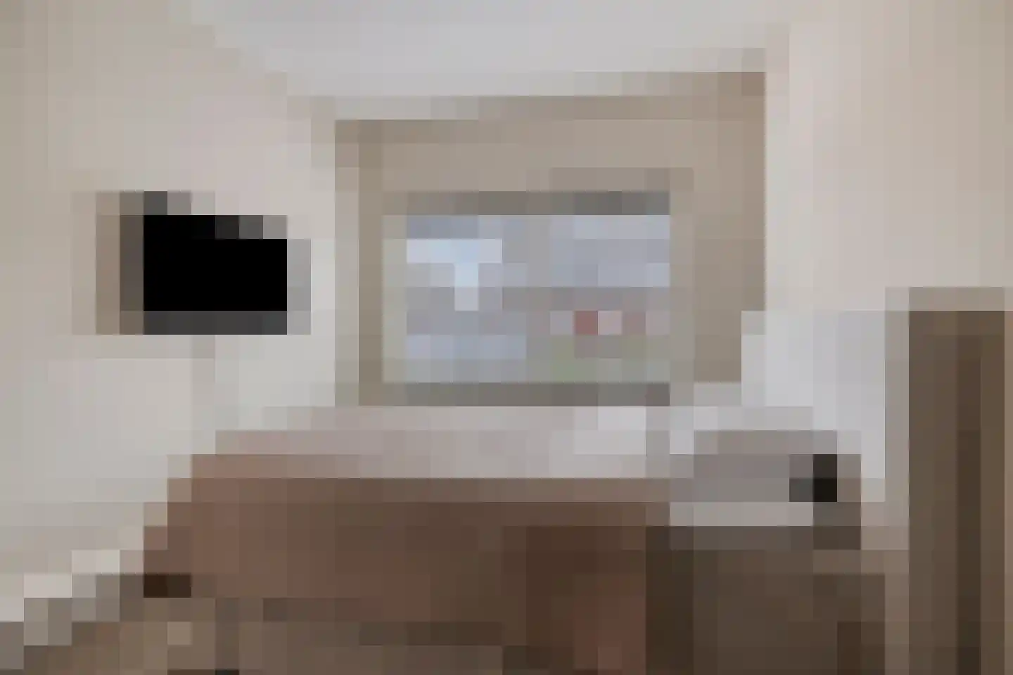 Vlamoven 7 Deurne thumbnail 20