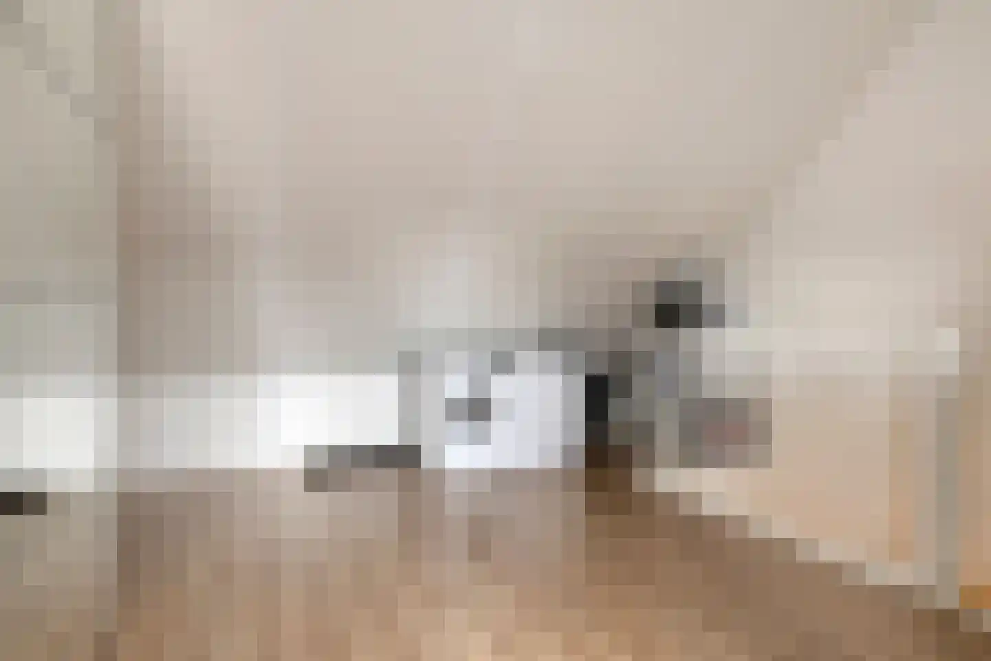 Vlamoven 7 Deurne thumbnail 27