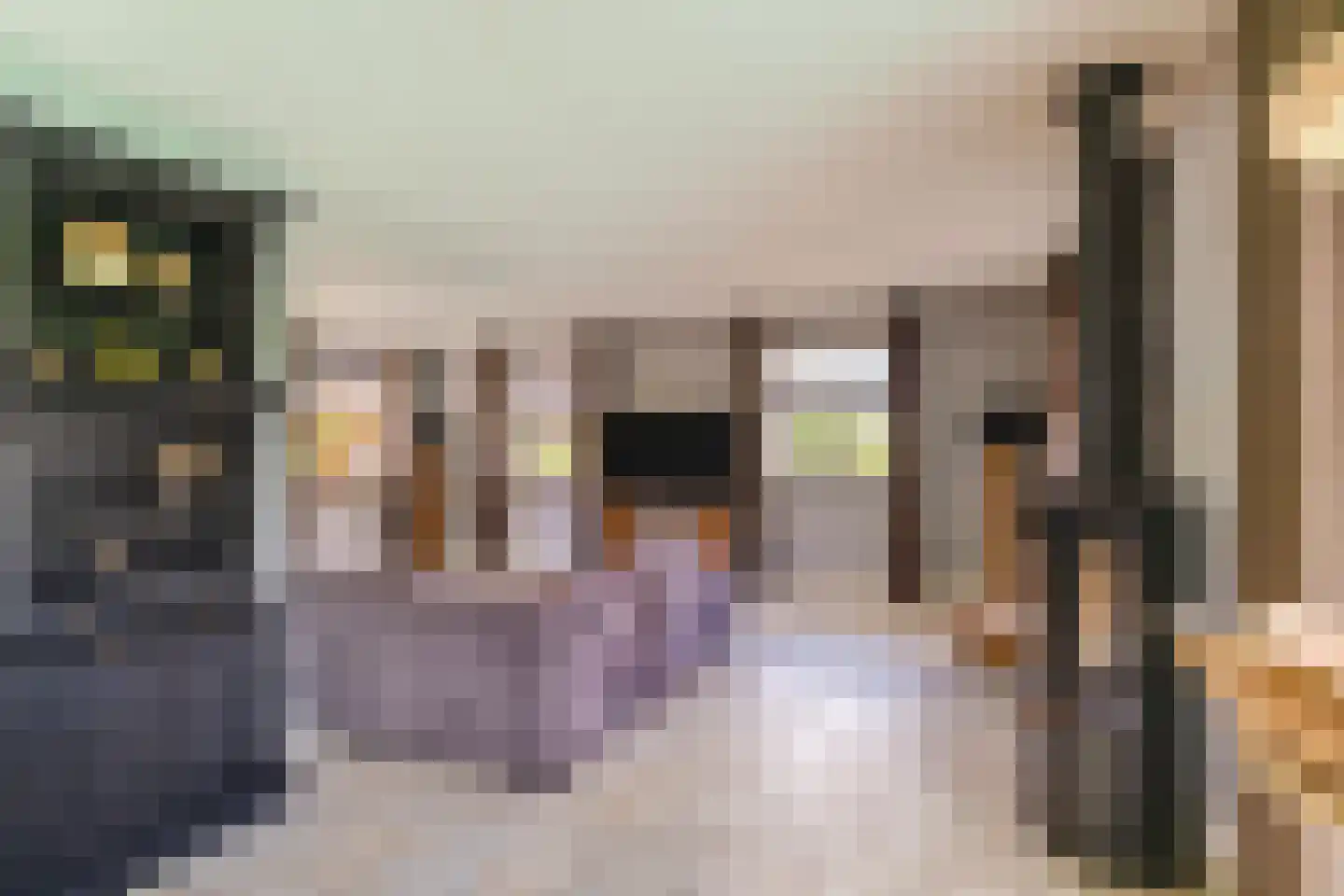 Vlamoven 8 Ten Post thumbnail 15
