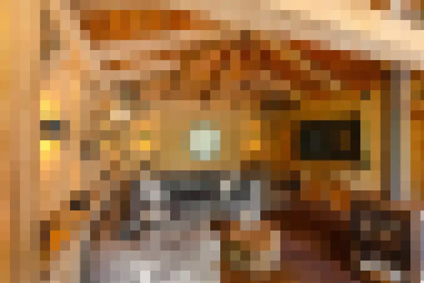 Vlamoven 8 Ten Post foto 3