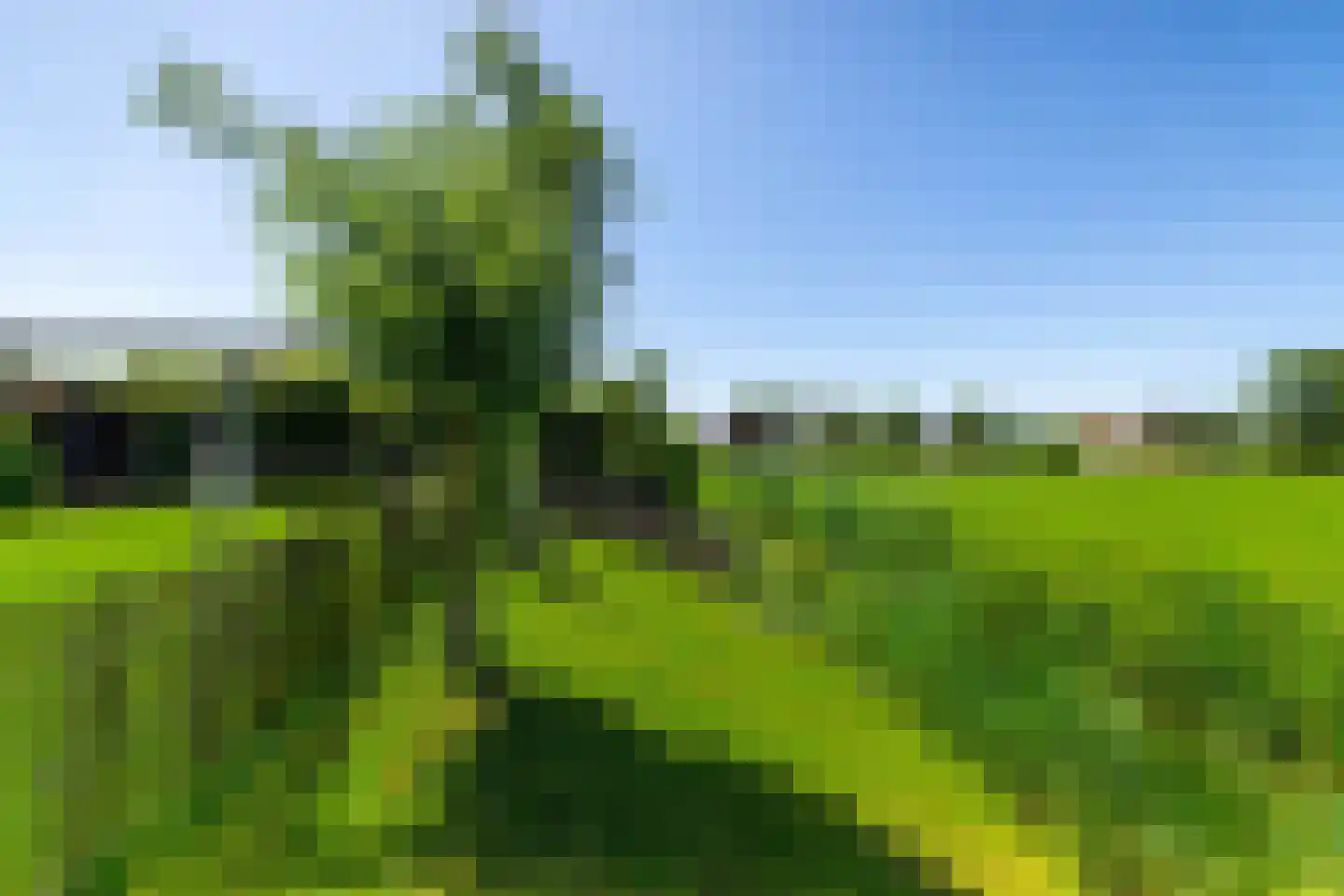 Vlamoven 9 Ten Post foto 3