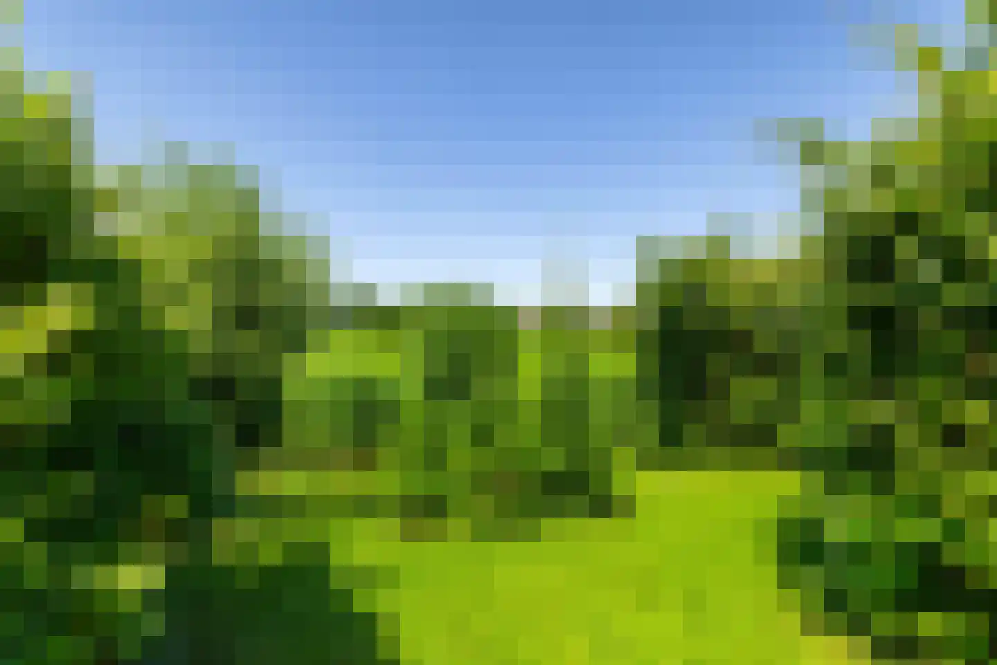 Vlamoven 9 Ten Post thumbnail 38