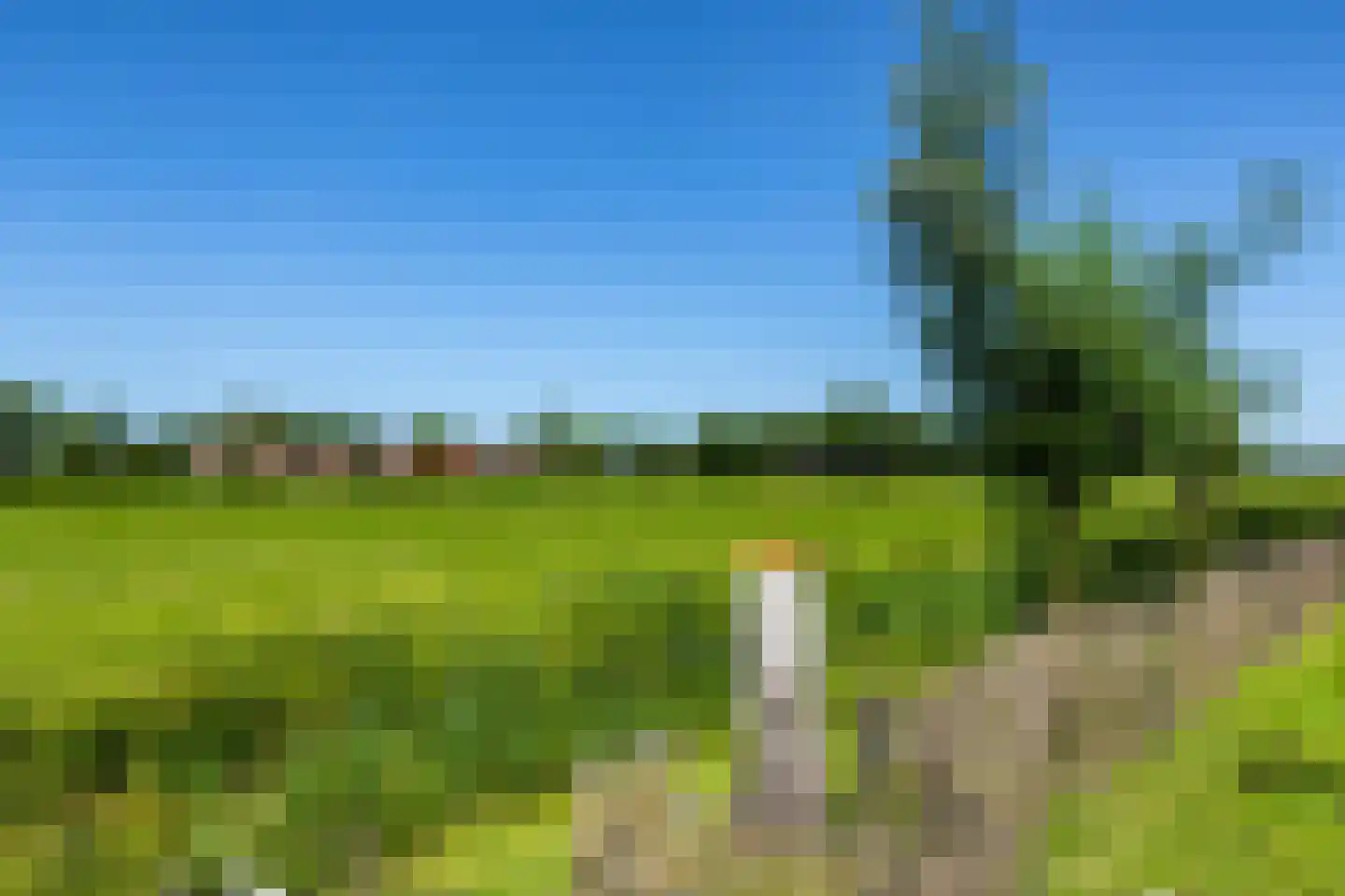 Vlamoven 9 Ten Post thumbnail 4
