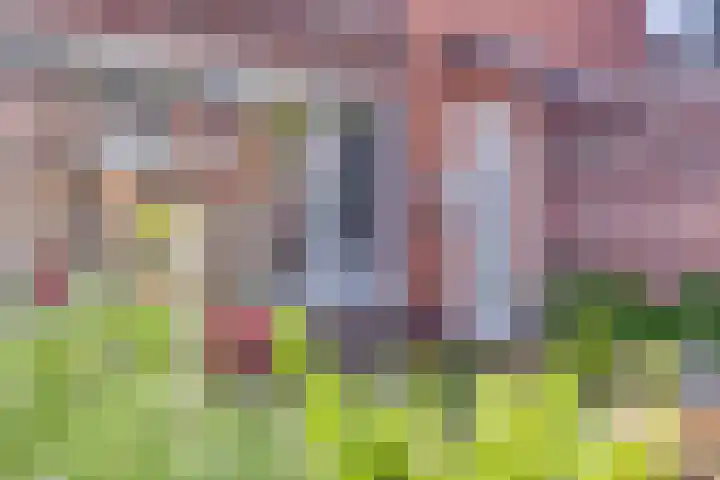 Vlamoven 91 Delfzijl thumbnail 17