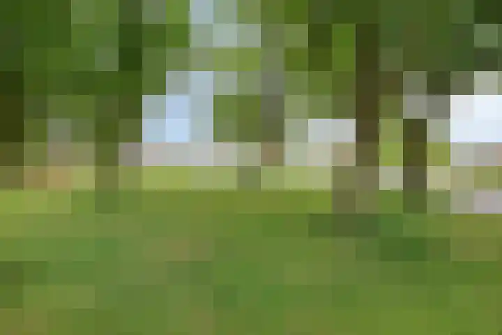Vlamoven 91 Delfzijl thumbnail 21