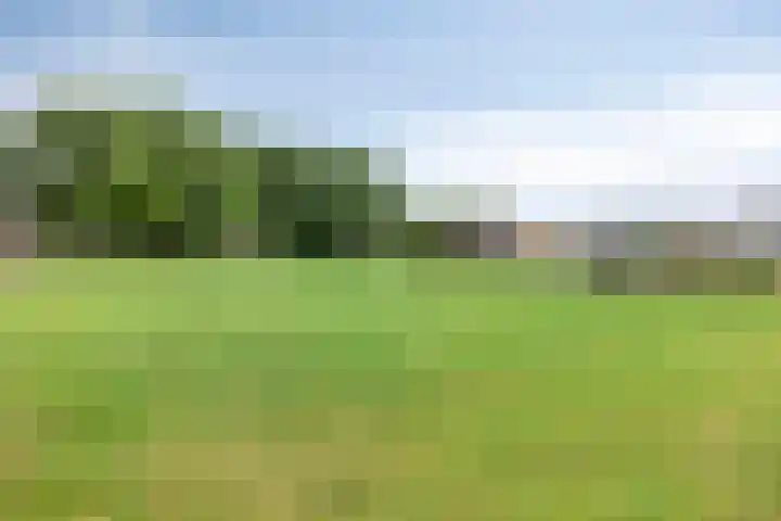 Vlamoven 91 Delfzijl thumbnail 22