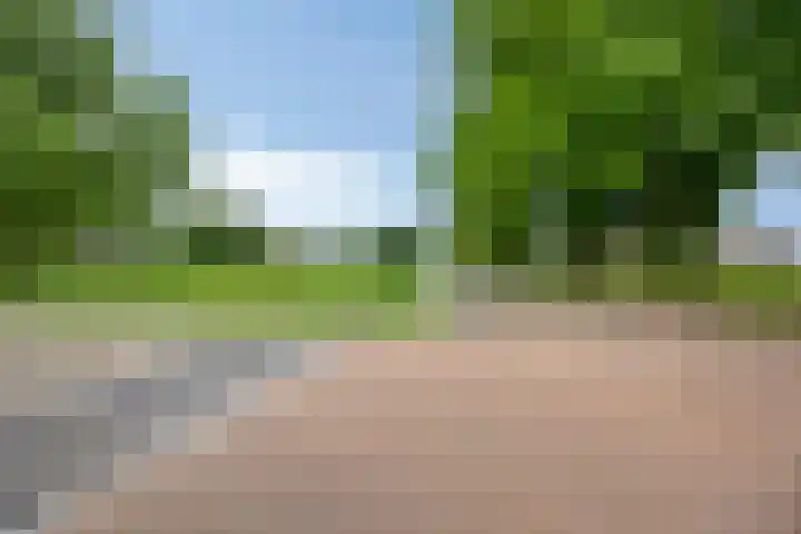 Vlamoven 91 Delfzijl thumbnail 24