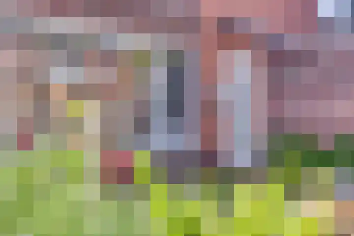 Vlamoven 91 Delfzijl thumbnail 25
