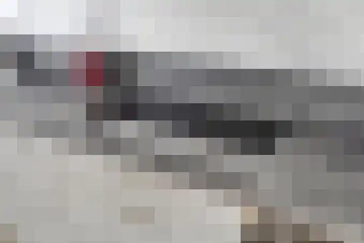 Vlamoven 91 Delfzijl thumbnail 34
