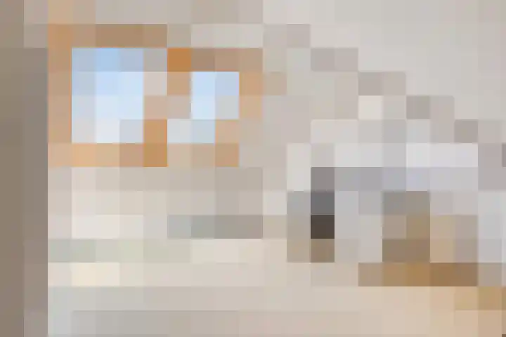 Vlas 18 Haaren thumbnail 23