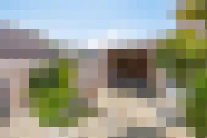 Vlas 18 Haaren thumbnail 25