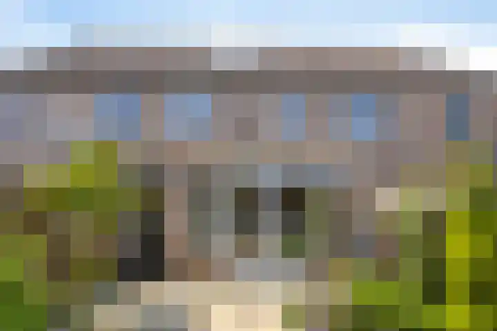 Vlas 18 Haaren thumbnail 26