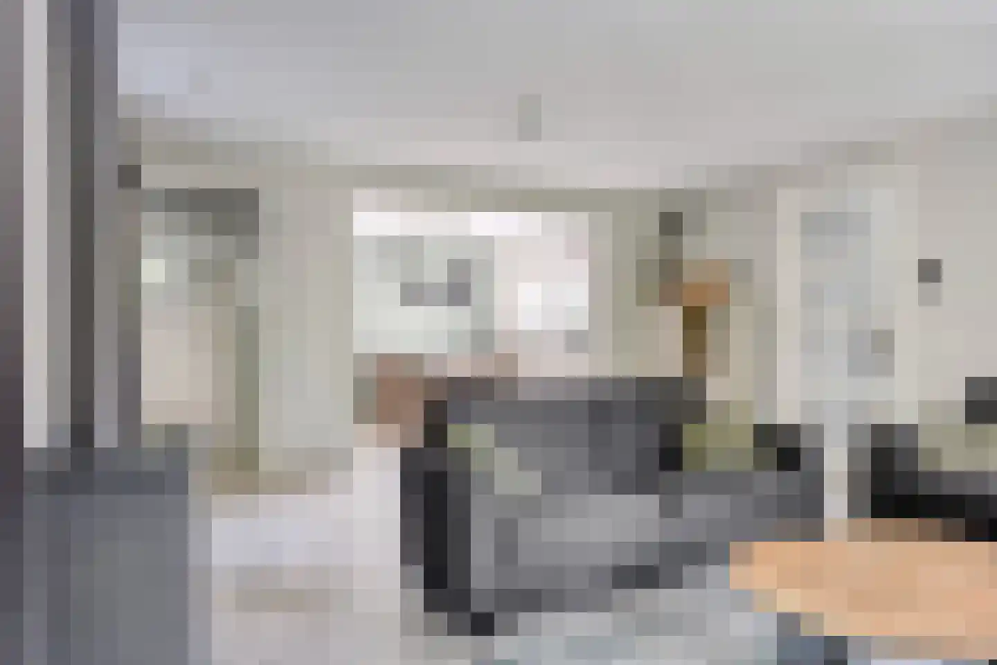 Vlas 37 Asten thumbnail 11
