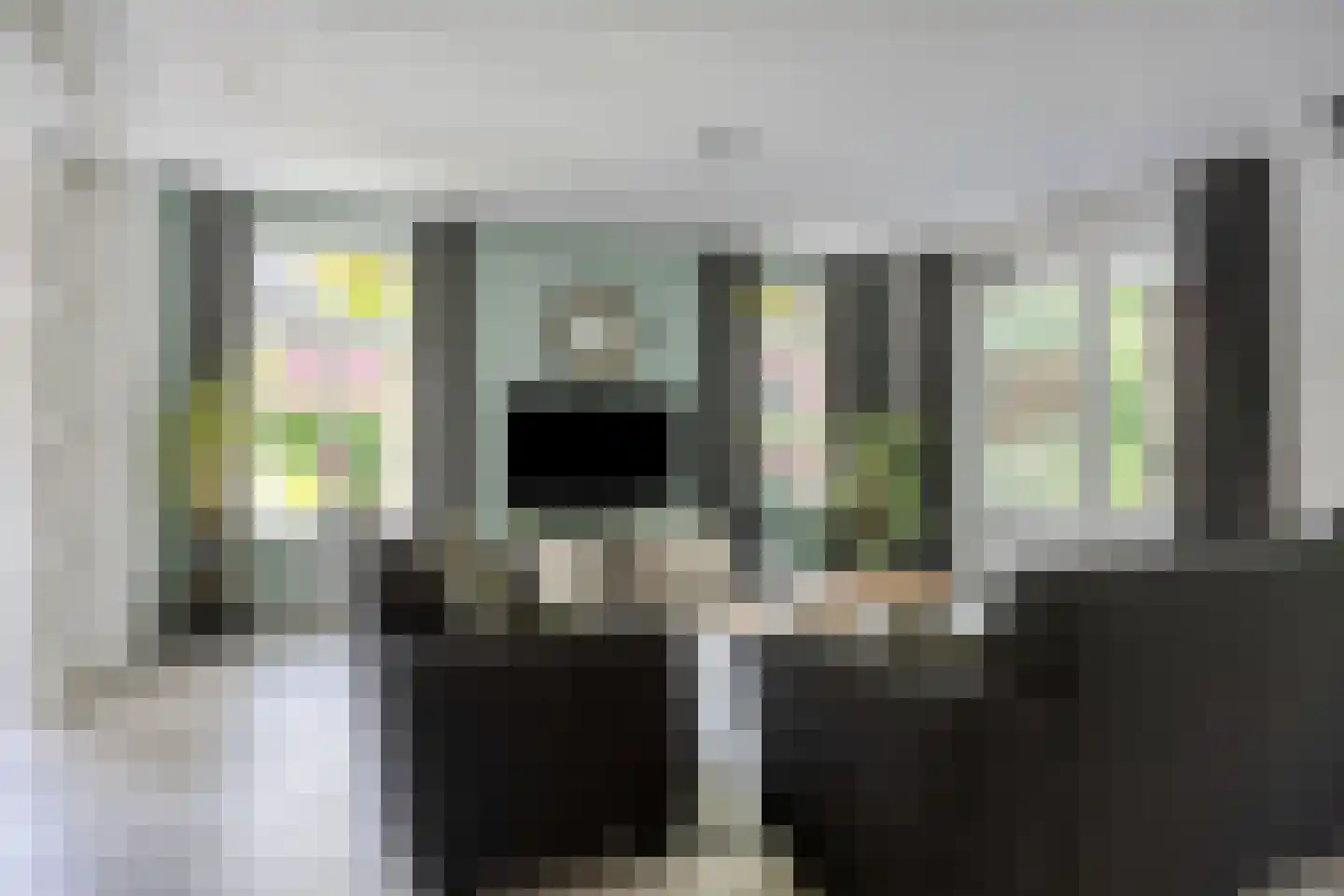 Vlas 37 Asten thumbnail 13