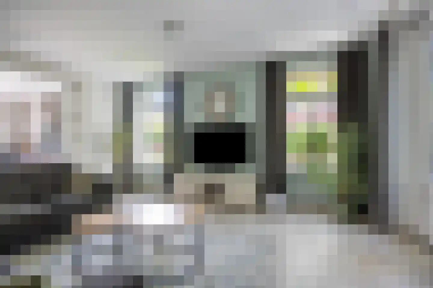 Vlas 37 Asten thumbnail 14
