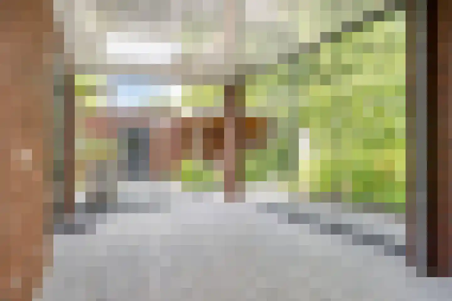 Vlas 37 Asten thumbnail 22