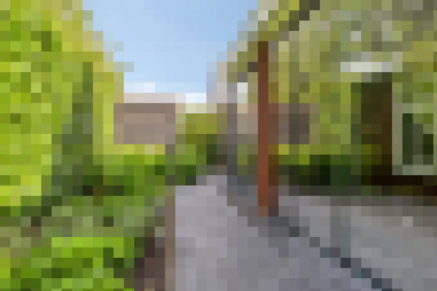 Vlas 37 Asten thumbnail 35