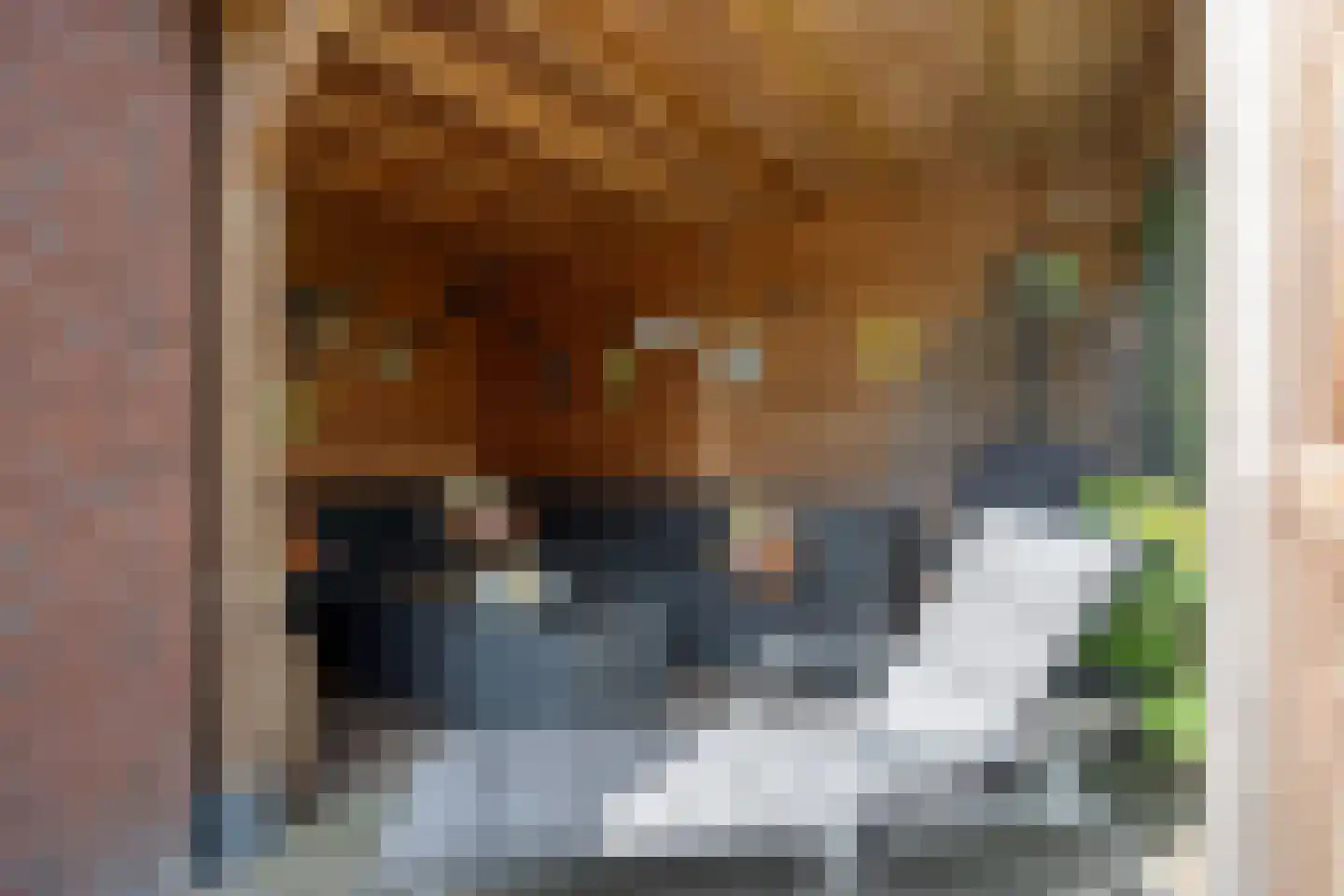 Vlas 37 Asten thumbnail 36