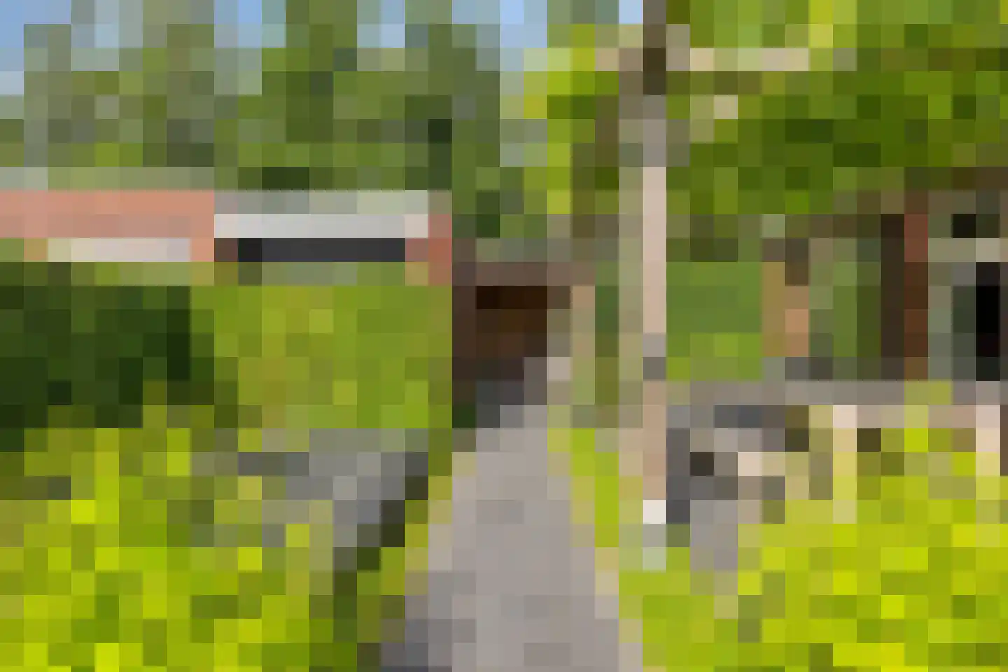 Vlas 37 Asten thumbnail 37